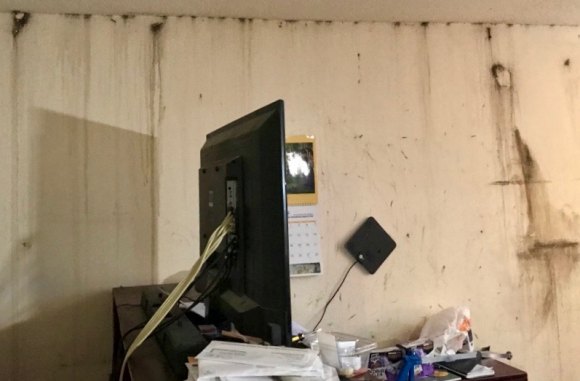 About Martin: His Story Should Never Have Happened on Roosevelt Island Living area scarred by floor to ceiling mold.
